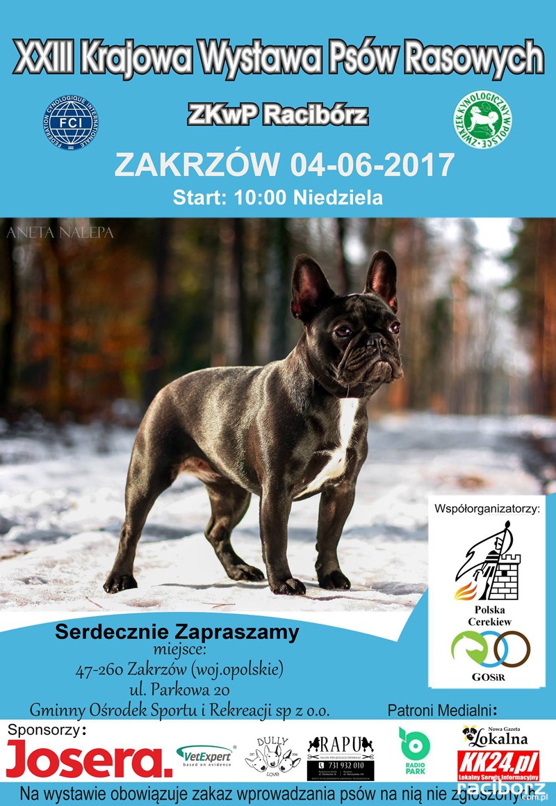 krajowa wystawa psow rasowych raciborz zakrzow