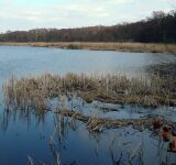 Specjaliści uratują Łężczok