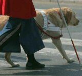 Ponad 2 mln zł dla niepełnosprawnych w Wodzisławiu Śl.