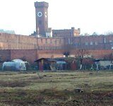 Wycinka na placu przy Łąkowej dopiero po wielu interwencjach