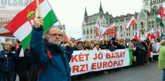 Marek Rapnicki Budapeszt