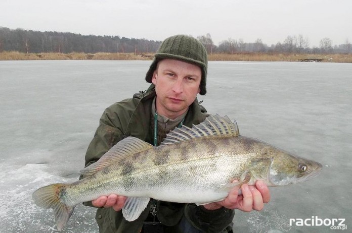 babiczok ryby podlodowe zawody wedkarskie