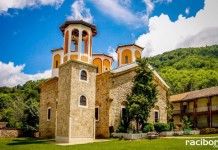 biblioteka raciborz markowice bulgaria