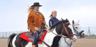 majowka konna kornice