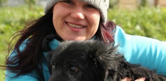 raciborskie schronisko dla bezdomnych zwierzat