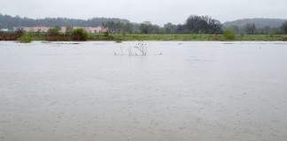 stan wody raciborz krzyzanowice chalupki