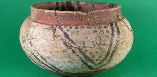 muzeum raciborz domaslaw