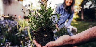 piknik sasiedzki ogrodek jordanowski raciborz
