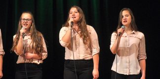 powiatowy festiwal tworczosci artystycznej raciborz