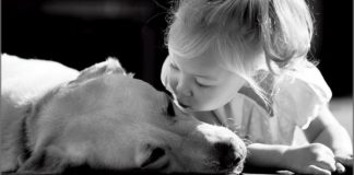 człowiek i pies biblioteka raciborz ibuk libra