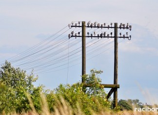 zabytkowa linia teletechniczka linia kolejowa nr 177