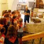 Racibórz, "Lato z Biblioteką": Dzień Muzeum