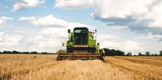 dozynku zawada ksiazeca