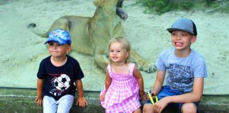 gok kornowac zoo ostrava