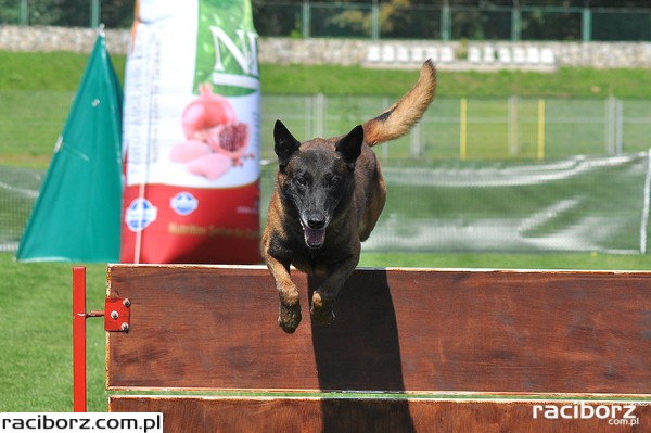 Racibórz: III Międzynarodowe Zawody Mondioringu