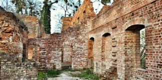 ruiny palacu w lubowicach