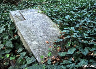 cmentarz raciborz kozielska