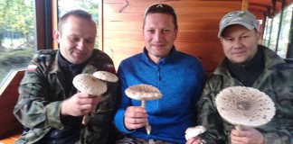 najlepszy grzybiarz ziemi raciborskiej