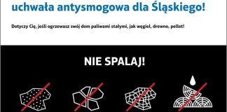 Uchwała antysmogowa