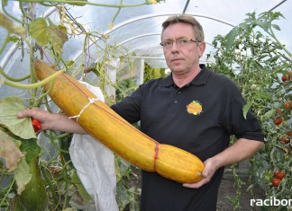 Raciborzanin Piotr Holewa i największe warzywa w kraju
