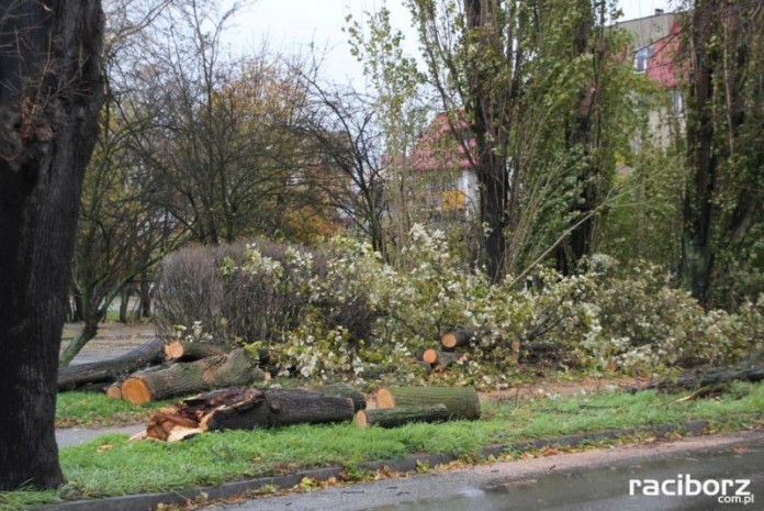 orkan grzegorz raciborz