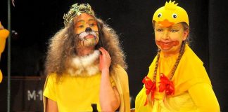 pani krokodyl znajduje dom