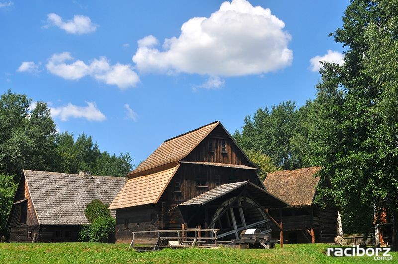 polska wies xix wiek