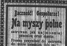 Raciborska prasa w roku odzyskania przez Polskę niepodległości