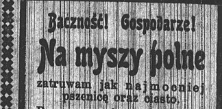 Raciborska prasa w roku odzyskania przez Polskę niepodległości