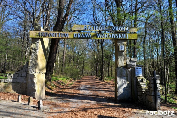 arboretum-bramy-morawskiej-raciborz-wiosna