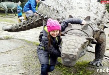 biblioteka raciborz zoo