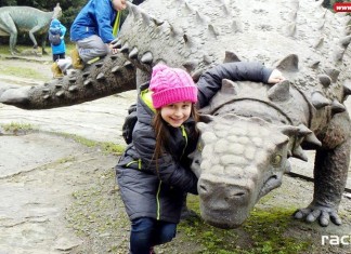 biblioteka raciborz zoo