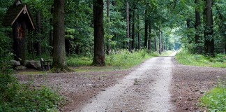 Ciekawe miejsca warte odwiedzenia w gminie Nędza