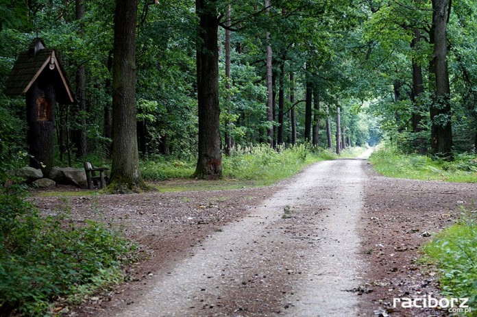 Ciekawe miejsca warte odwiedzenia w gminie Nędza