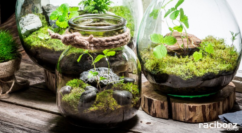 Warsztaty w Szonowicach