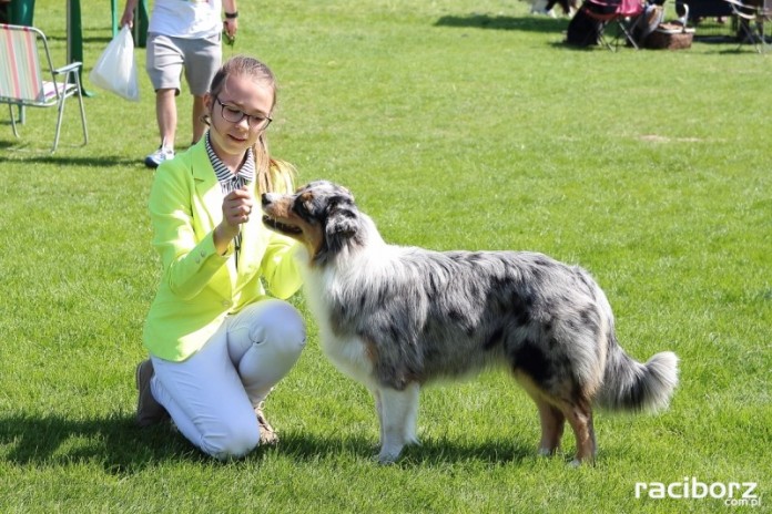 Wystawa Psów Rasowych w Zakrzowie