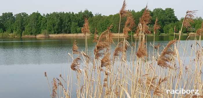 Łowisko Babiczok Gmina Nędza