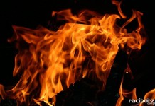 pożar lasu kuźnia raciborska nędza