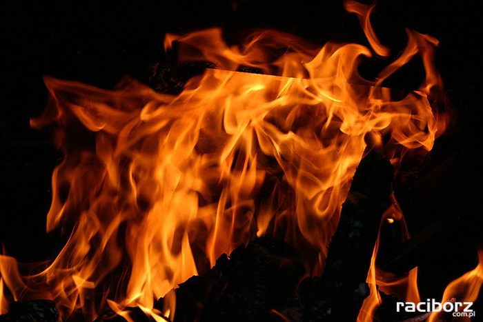 pożar lasu kuźnia raciborska nędza