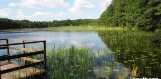 Raciborska policja apeluje o bezpieczny wypoczynek nad wodą