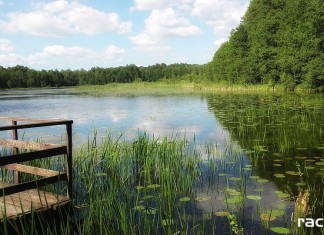 Raciborska policja apeluje o bezpieczny wypoczynek nad wodą