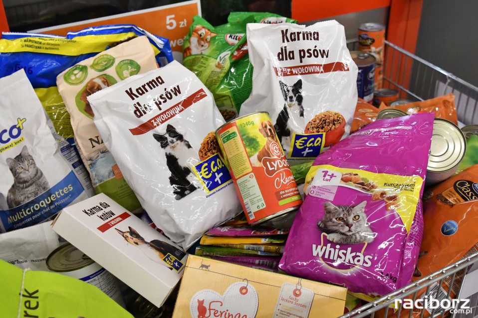 Akcja charytatywna gimnazjum nr 1