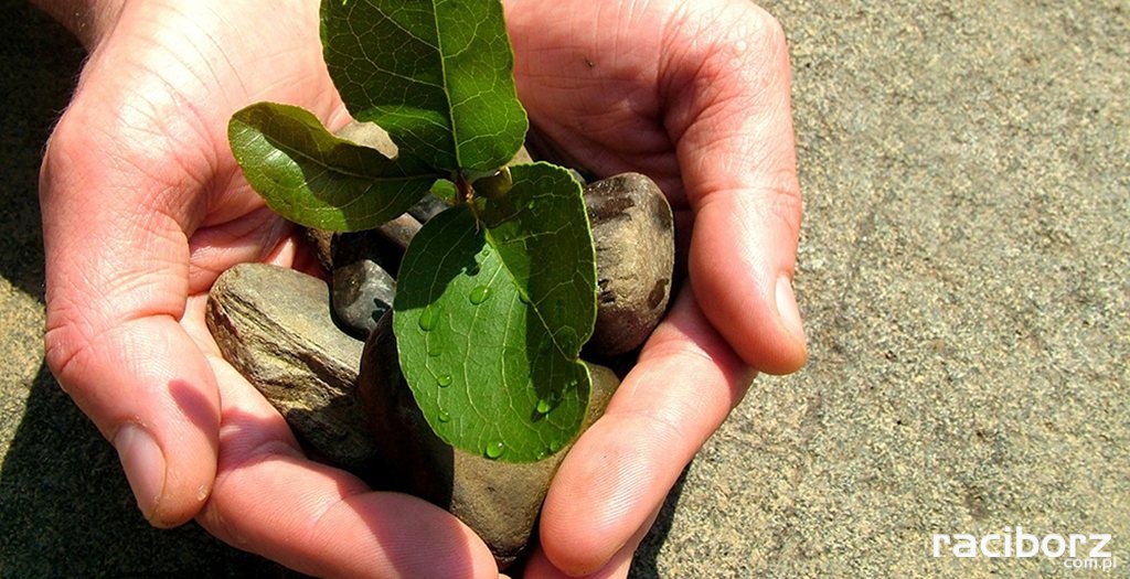 dotacje dzialki racibórz 2018