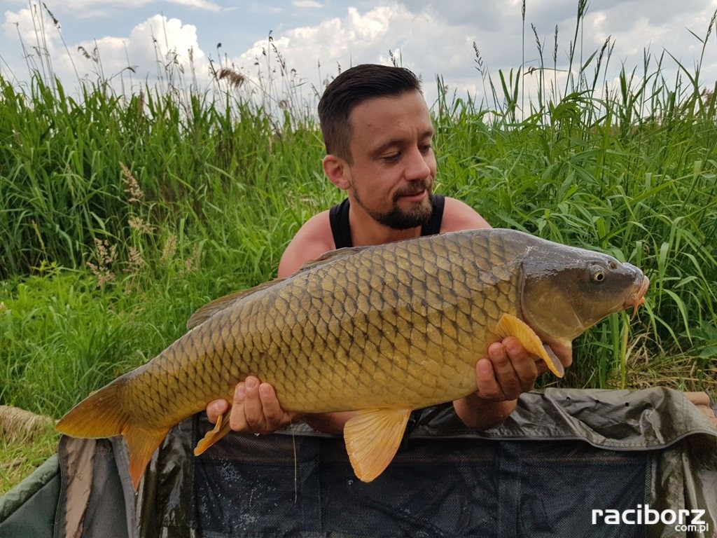 Zawody Karpiowe Babiczok 2018