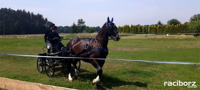 piknik konny rudy raciborskie
