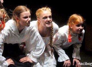 Teatr Tetraedr – Scena Dziecięca: Krwawe historie