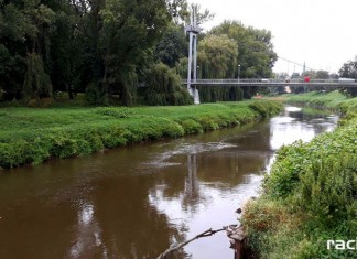 Odra w Raciborzu 17 lipca