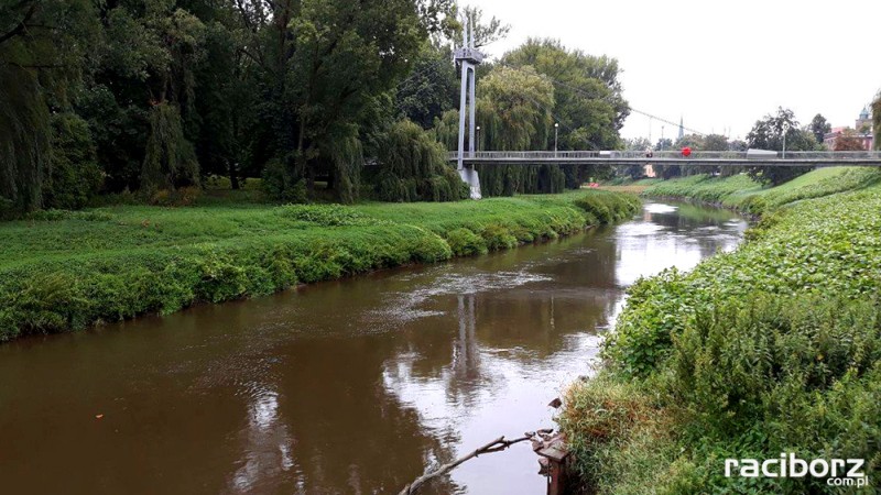 Odra w Raciborzu 17 lipca