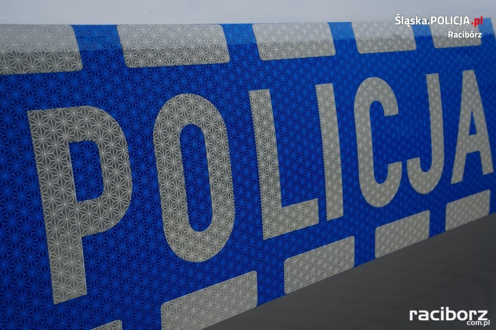 Śląska policja podsumowała akcję Smog