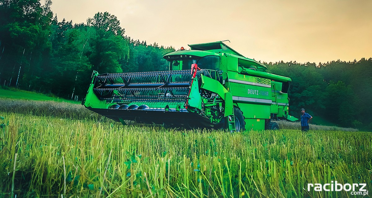 zagrożenia podczas żniw